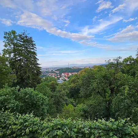 Matei * Brasov