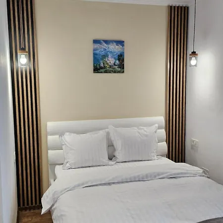 Matei Brasov