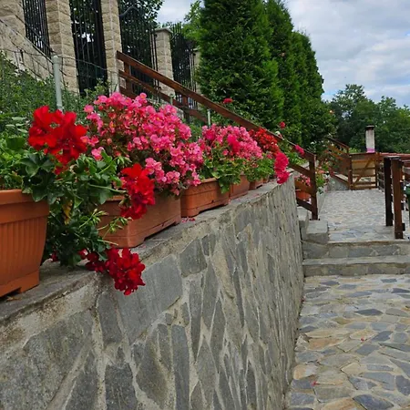 Matei Brasov