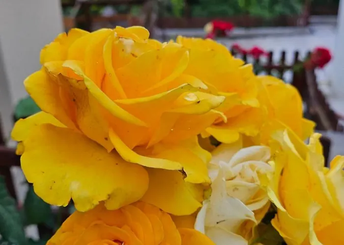 Matei Privatunterkunft