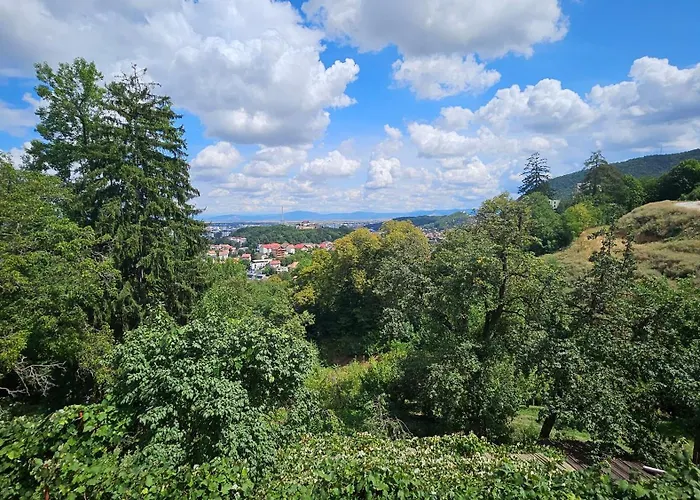 Matei Gazde/Camere de închiriat *